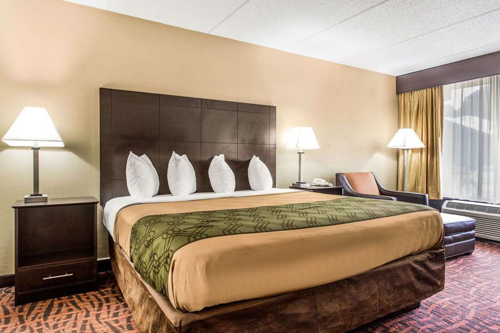Quality Inn Asheville Airport Fletcher Rom bilde